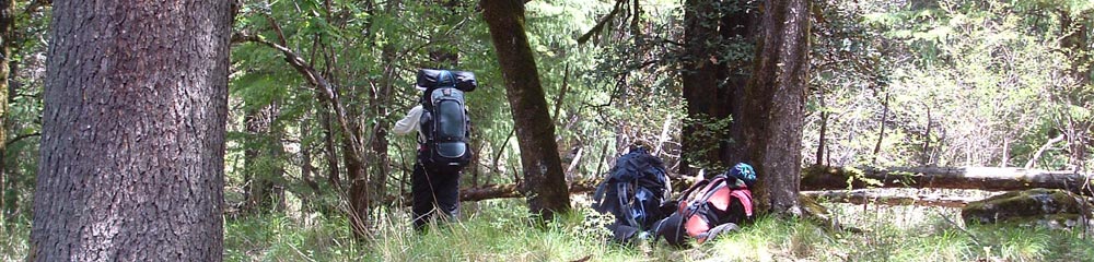 Himalaya Trek Photo