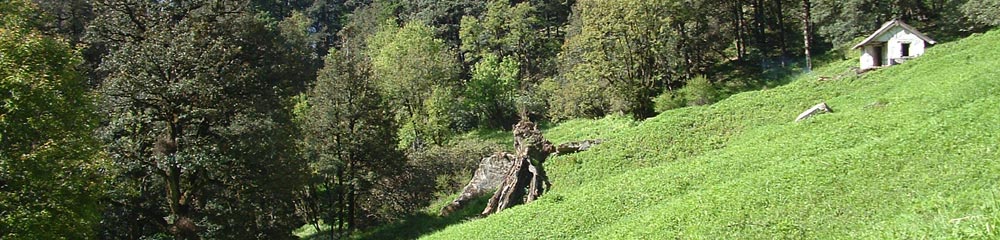 Himalaya Trek Photo