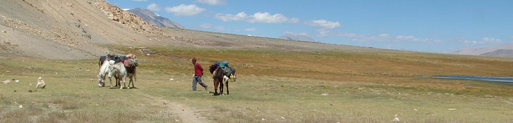 Ladakh Trek Photo